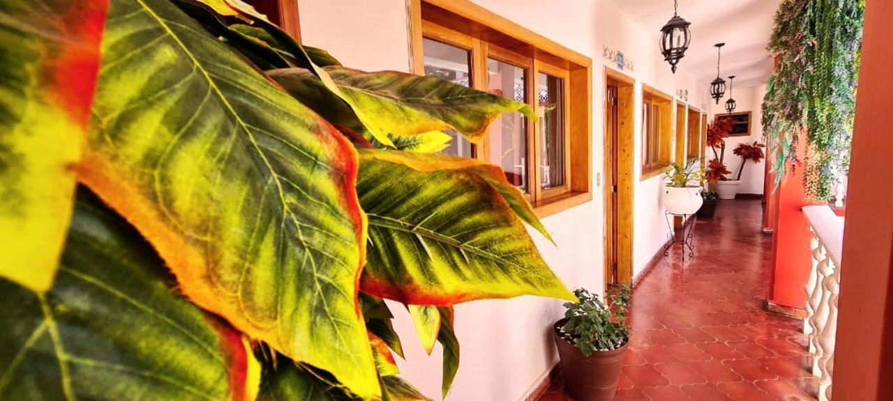 Hotel De Mariacentro San Cristóbal de Las Casas Kültér fotó